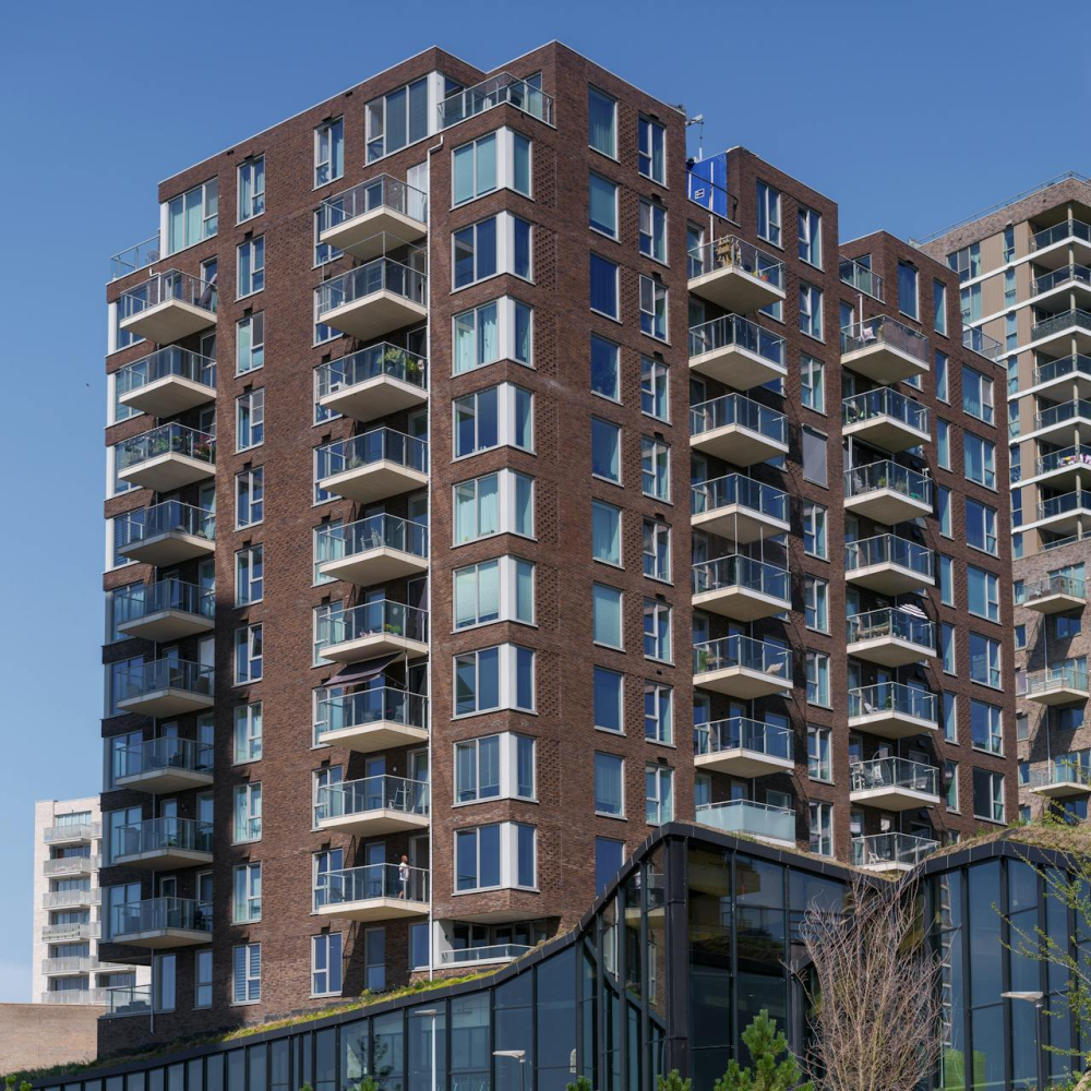 pexels-haberdoedas-33431238